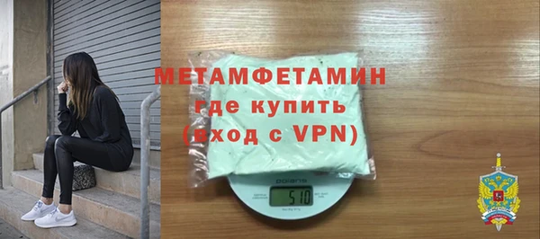 прущие грибы Мегион