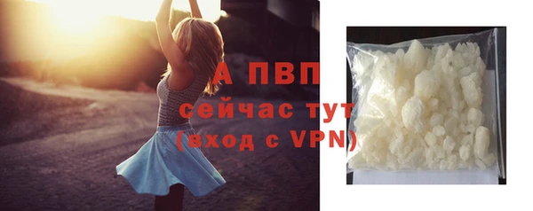 индика Верея