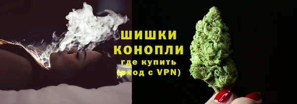 прущие грибы Мегион