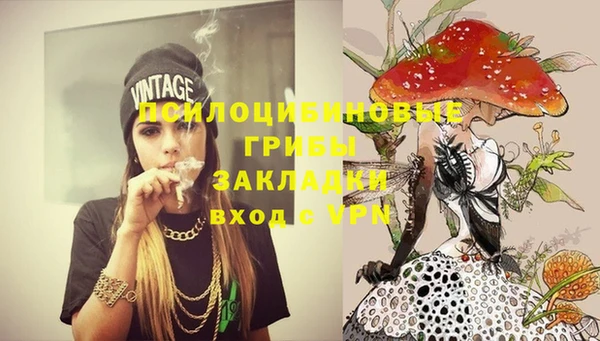 молекула духа Магас
